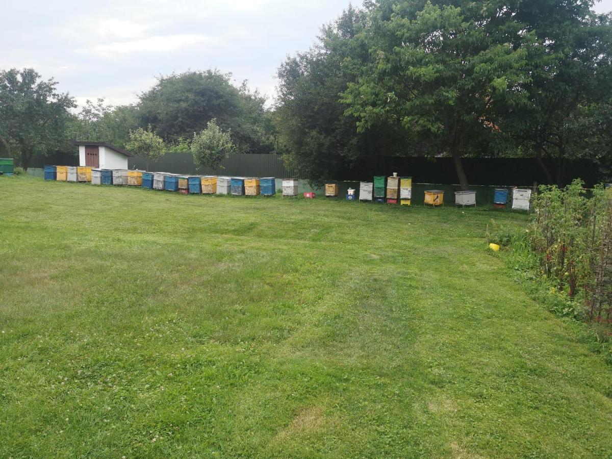 Apartament Eva'S Little House - Acasa La Taticul Albinelor Sinca Veche Zewnętrze zdjęcie